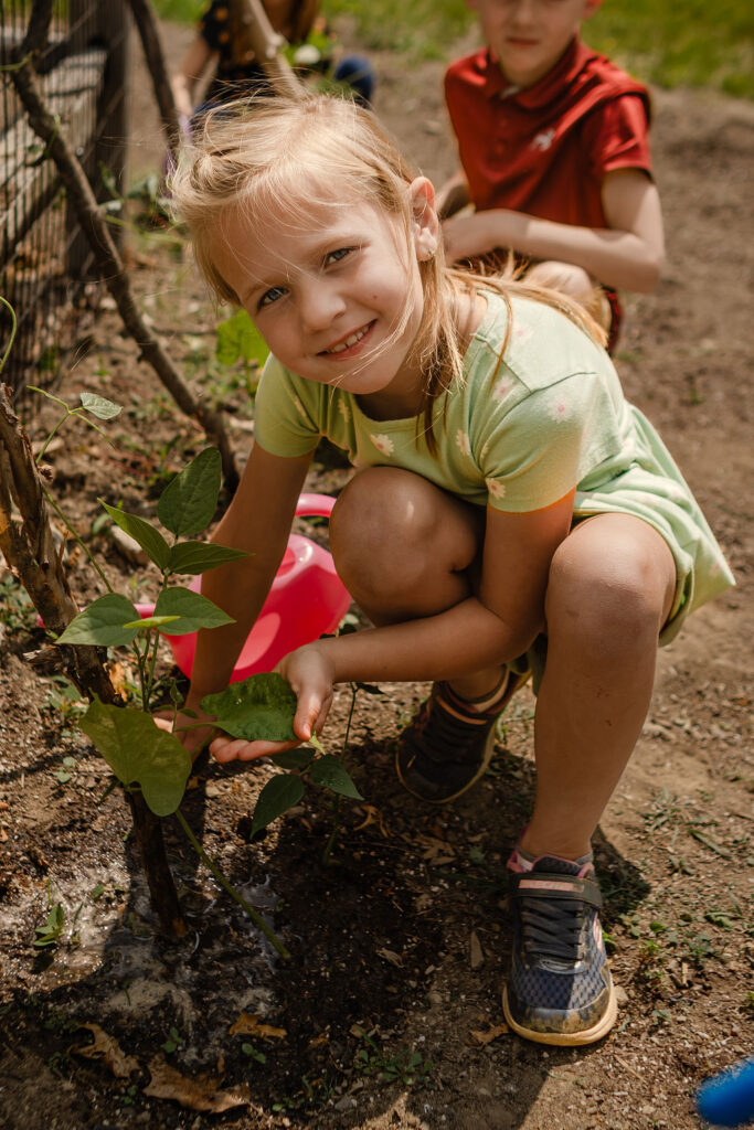 young girl watering bean plants